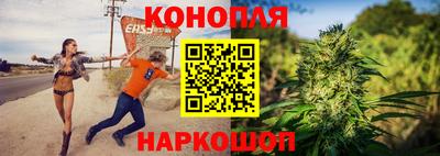 гашик Краснознаменск
