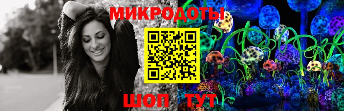 Псилоцибиновые грибы прущие грибы Ивантеевка